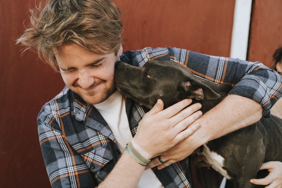 Dresser son chien en 15 minutes par jour, le meilleur guide pour démarrer