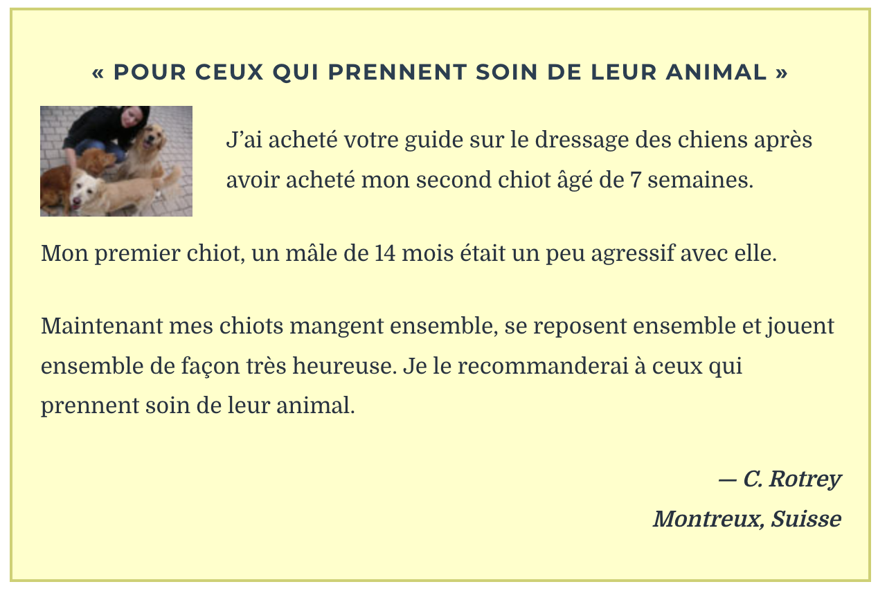 Dresser son chien en 15 minutes par jour, le meilleur guide pour démarrer